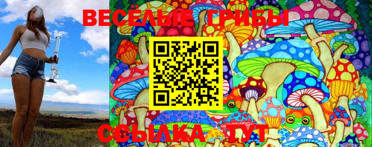 Чусовой  Галлюциногенные грибы MAGIC MUSHROOMS  Вход с VPN 